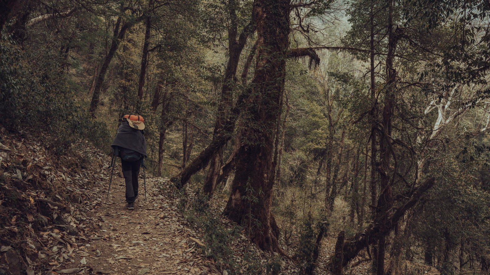 Landscape photograph — Frame 14