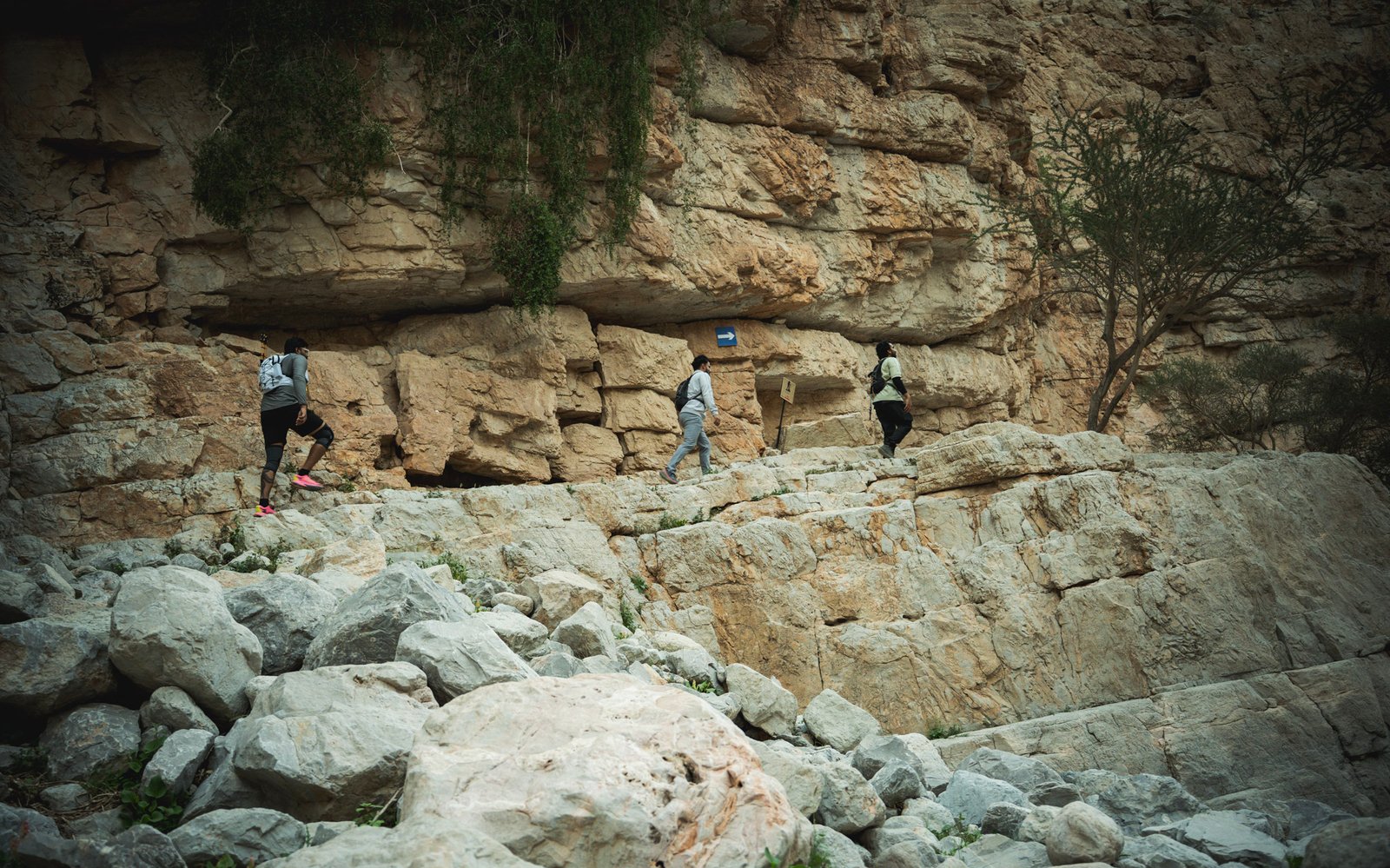 Landscape photograph — Frame 17