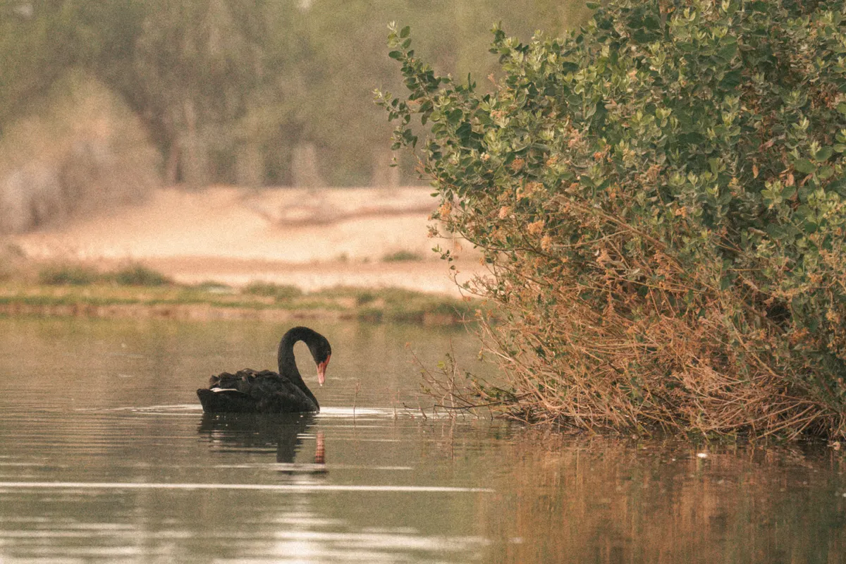Landscape photograph — Frame 20