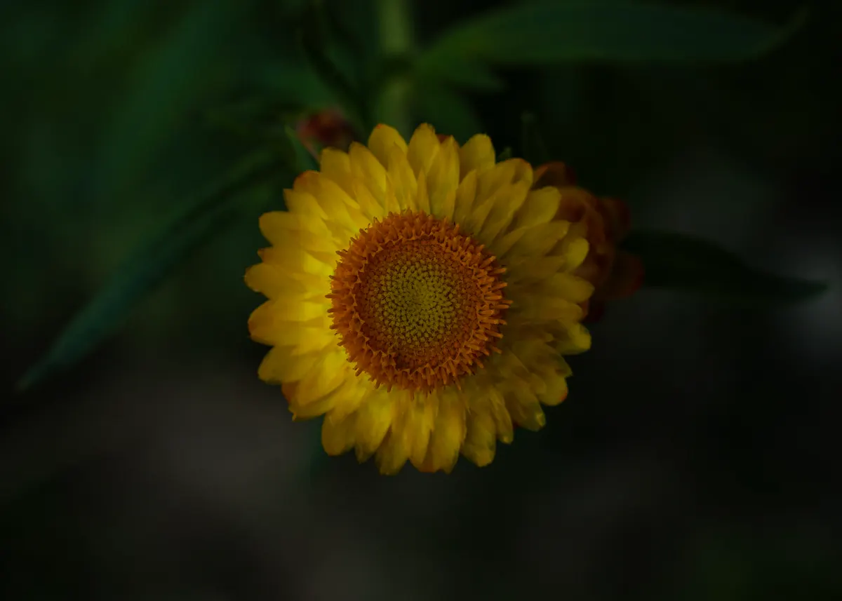 Landscape photograph — Frame 25