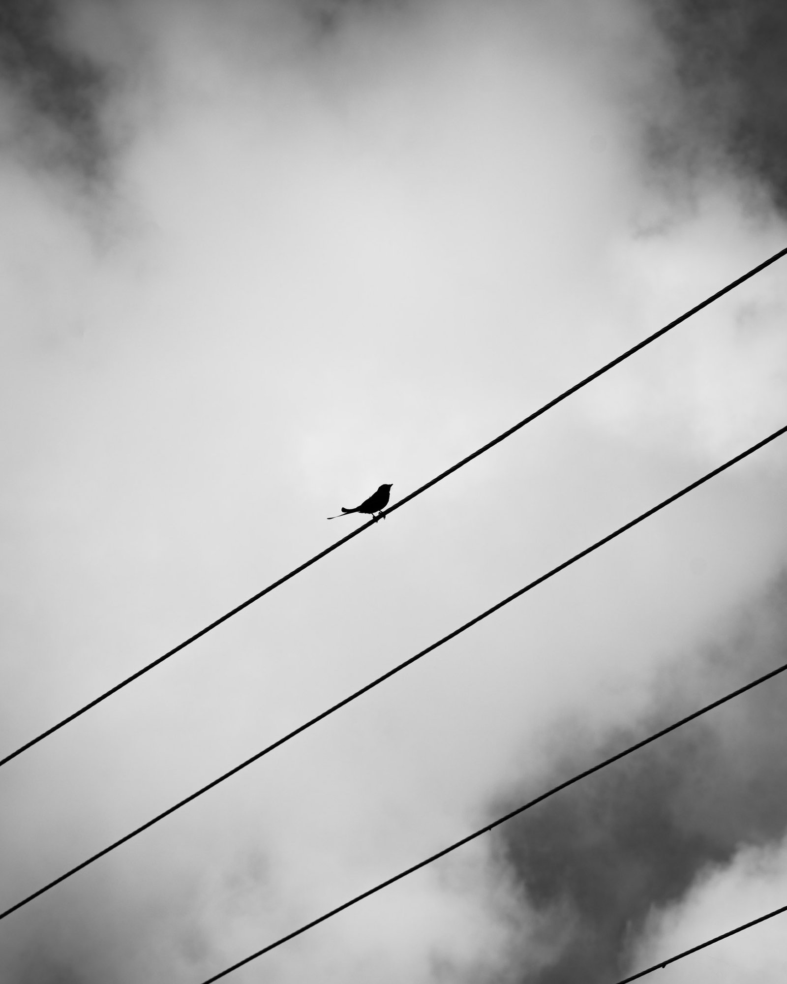 Streets photograph — Frame 39