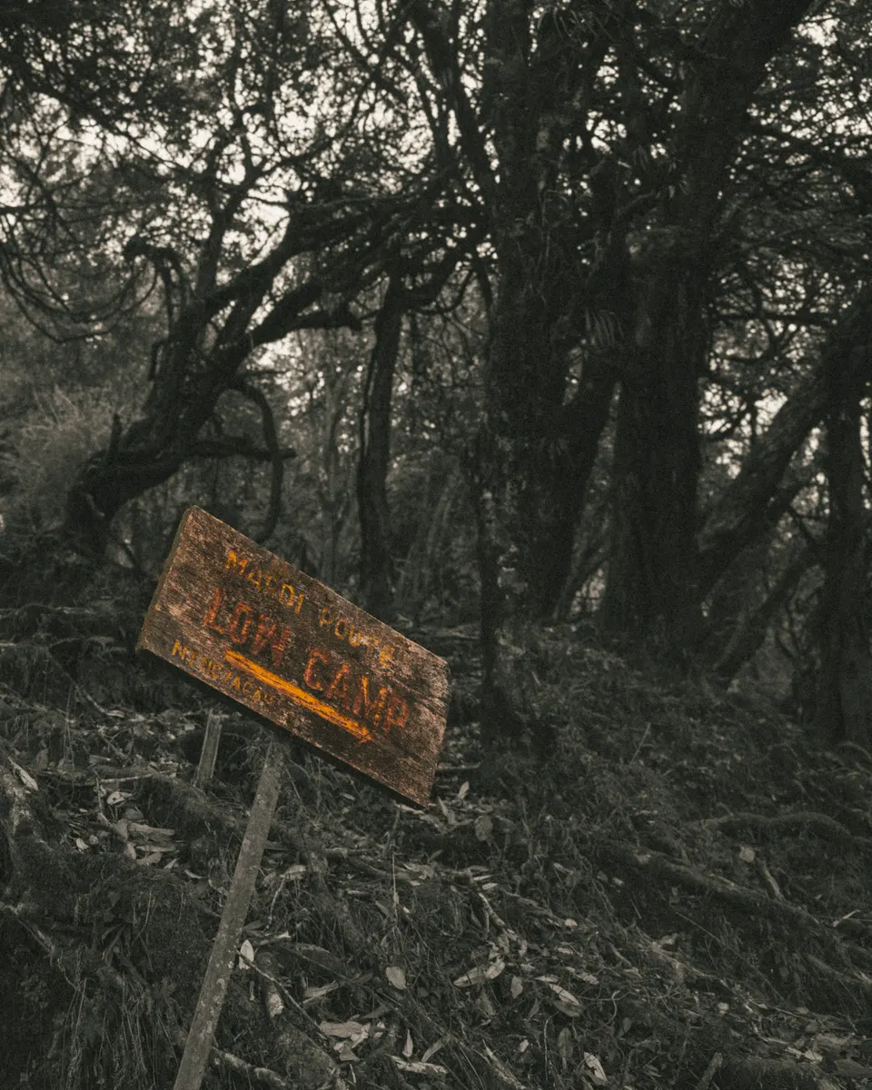 Streets photograph — Frame 33